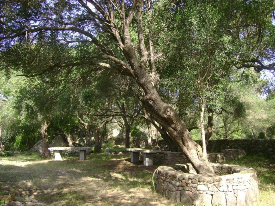 B&B L' Incantu Santa Teresa Gallura Exterior photo