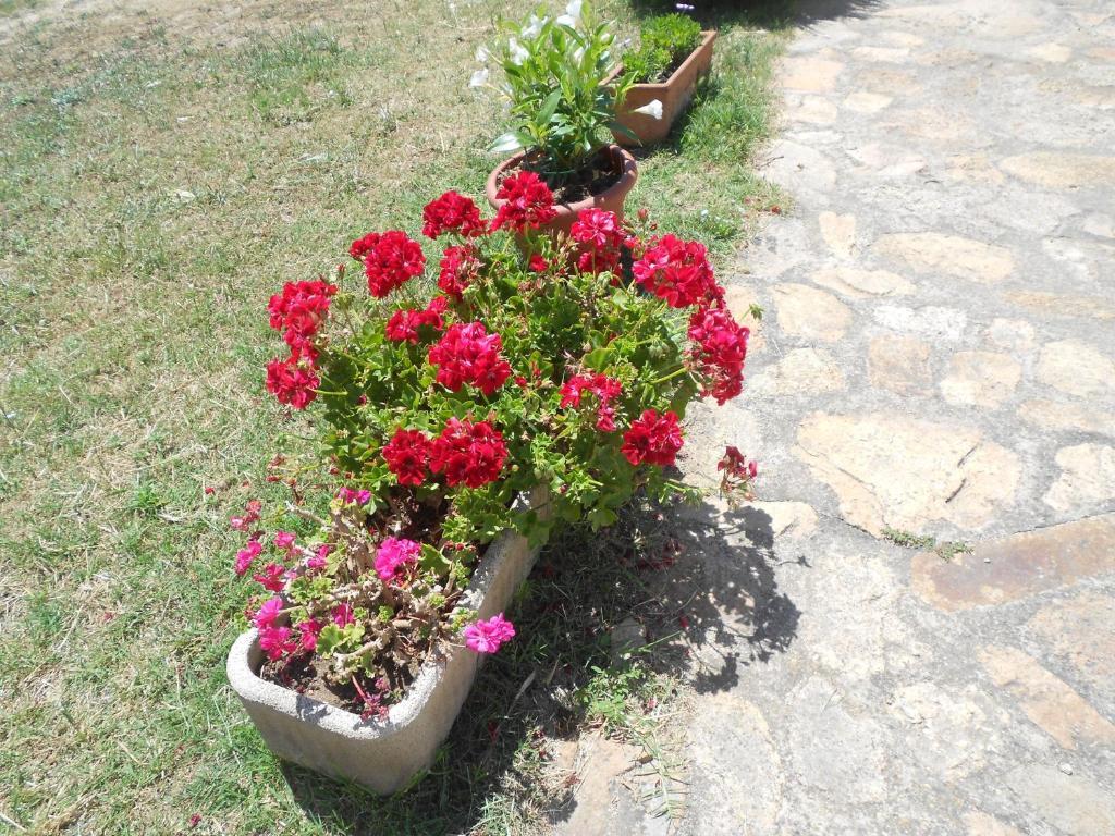 B&B L' Incantu Santa Teresa Gallura Exterior photo